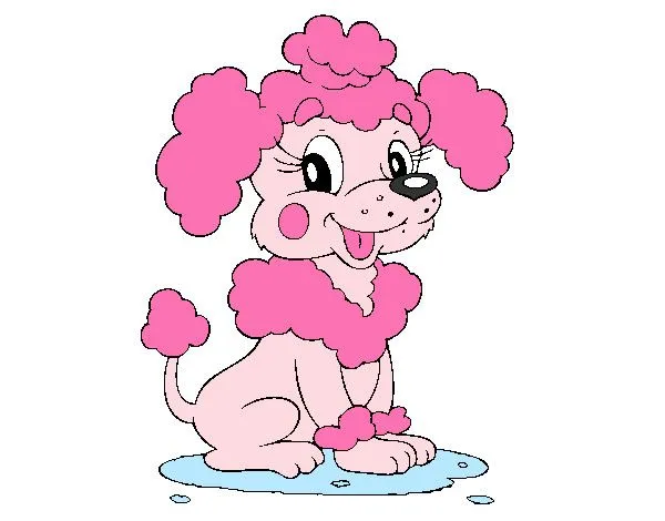 Dibujo de Caniche rosa pintado por Mafer_case en Dibujos.net el ...