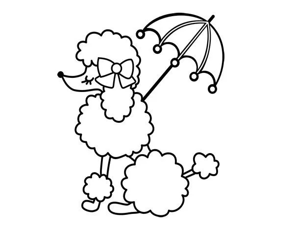 Dibujo de Caniche con sombrilla para colorear | Dibujos de ... Dibujo de Caniche con sombrilla para colorear | Dibujos de ...
