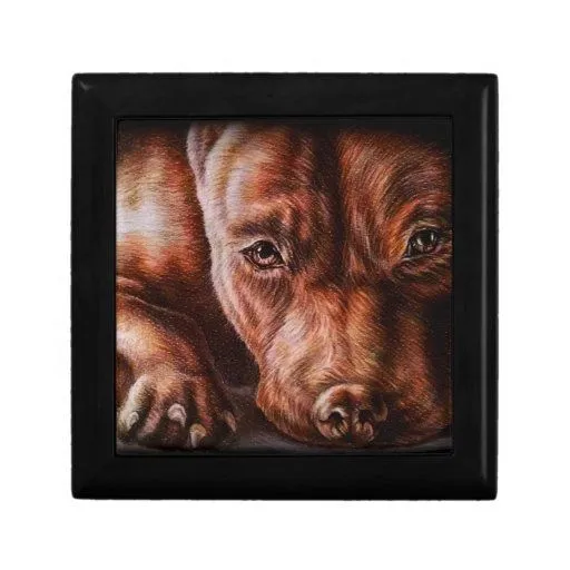 Dibujo de la cara del pitbull de Brown del perro Joyero Cuadrado ...