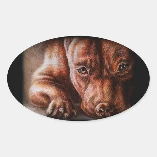 Dibujo de la cara del pitbull de Brown del perro Pegatina Ovalada ...