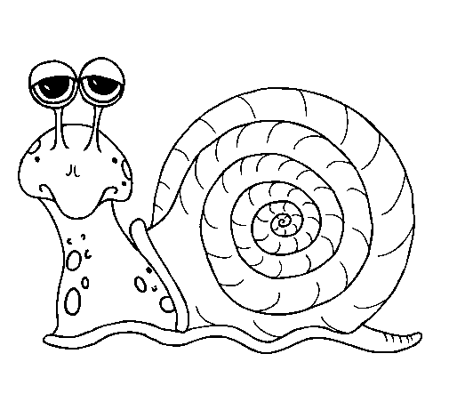 Dibujo de Caracol pintado por Carnard en Dibujos.net el día 13-04 ... Dibujo de Caracol pintado por Carnard en Dibujos.net el día 13-04 ...