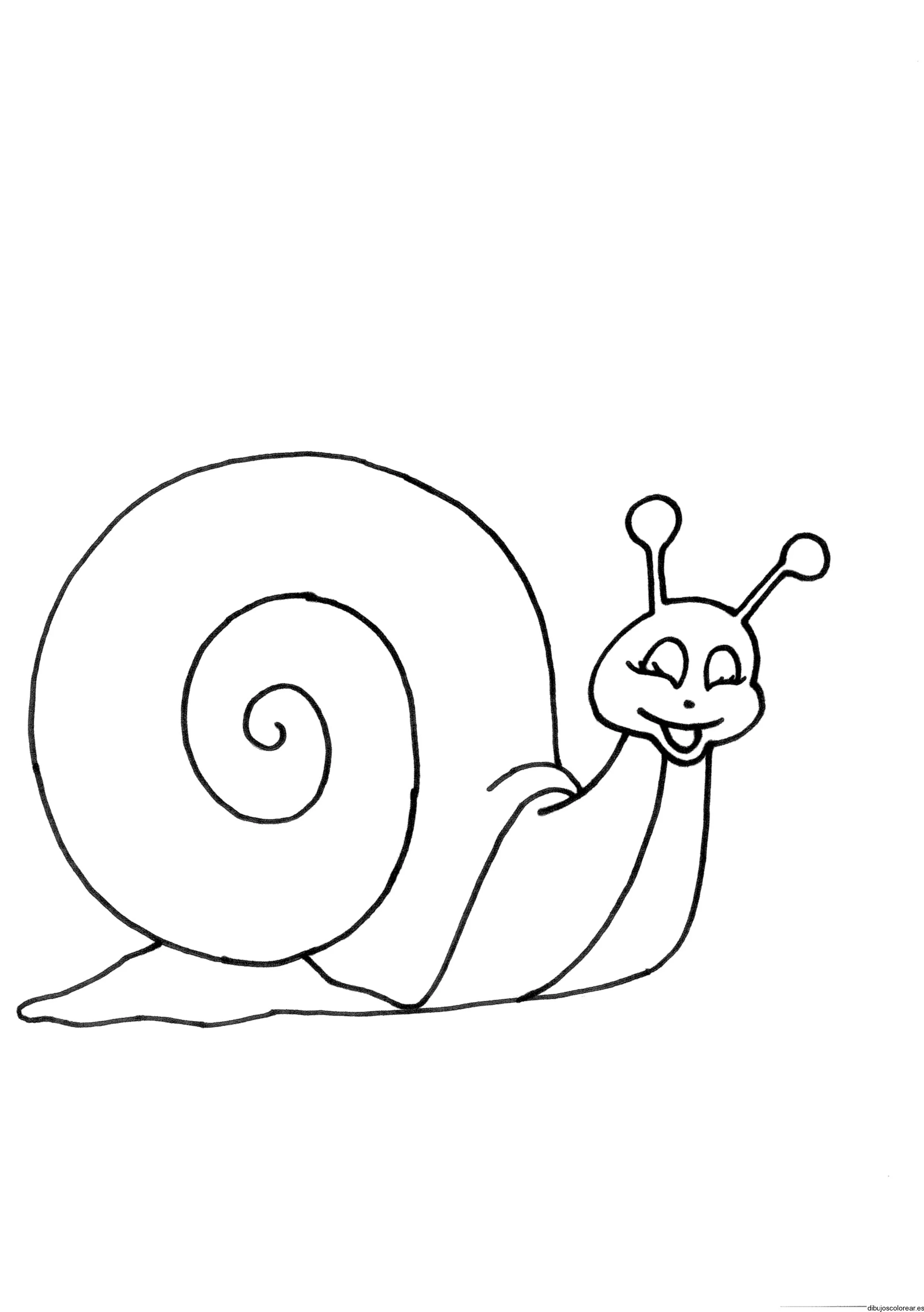 Dibujo de un caracol sonriendo | Dibujos para Colorear Dibujo de un caracol sonriendo | Dibujos para Colorear