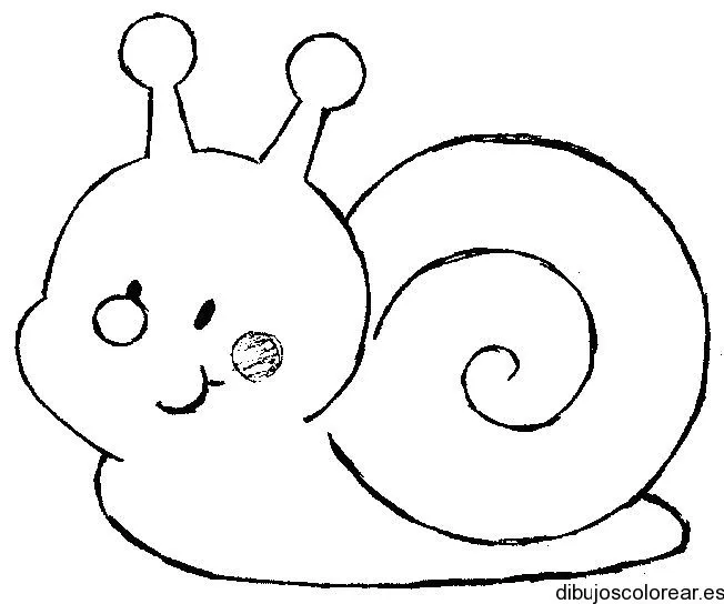 Dibujo de un caracol sonriente | Dibujos para Colorear Dibujo de un caracol sonriente | Dibujos para Colorear