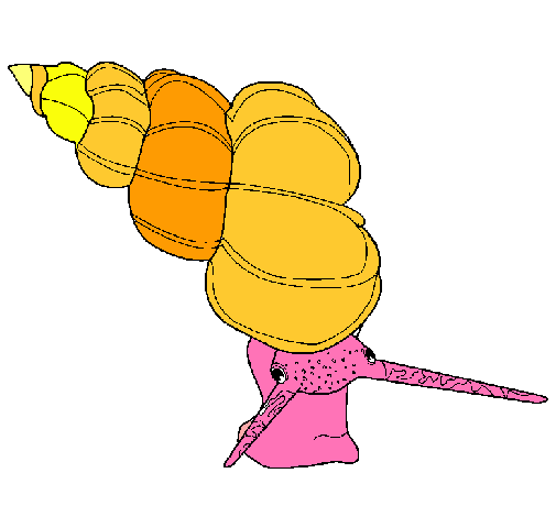 Dibujo de Caracola de mar pintado por Maripi en Dibujos.net el día ... Dibujo de Caracola de mar pintado por Maripi en Dibujos.net el día ...