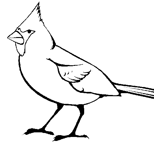 Dibujo de Cardinal para Colorear - Dibujos.net