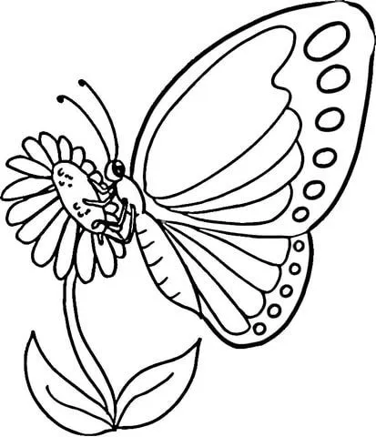 Dibujo de Caricatura de una Mariposa Monarca para colorear ... Dibujo de Caricatura de una Mariposa Monarca para colorear ...