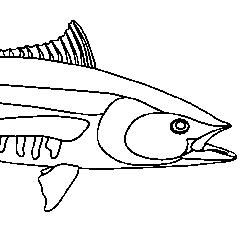 Dibujo de Carpa para Colorear - Dibujos.net Dibujo de Carpa para Colorear - Dibujos.net