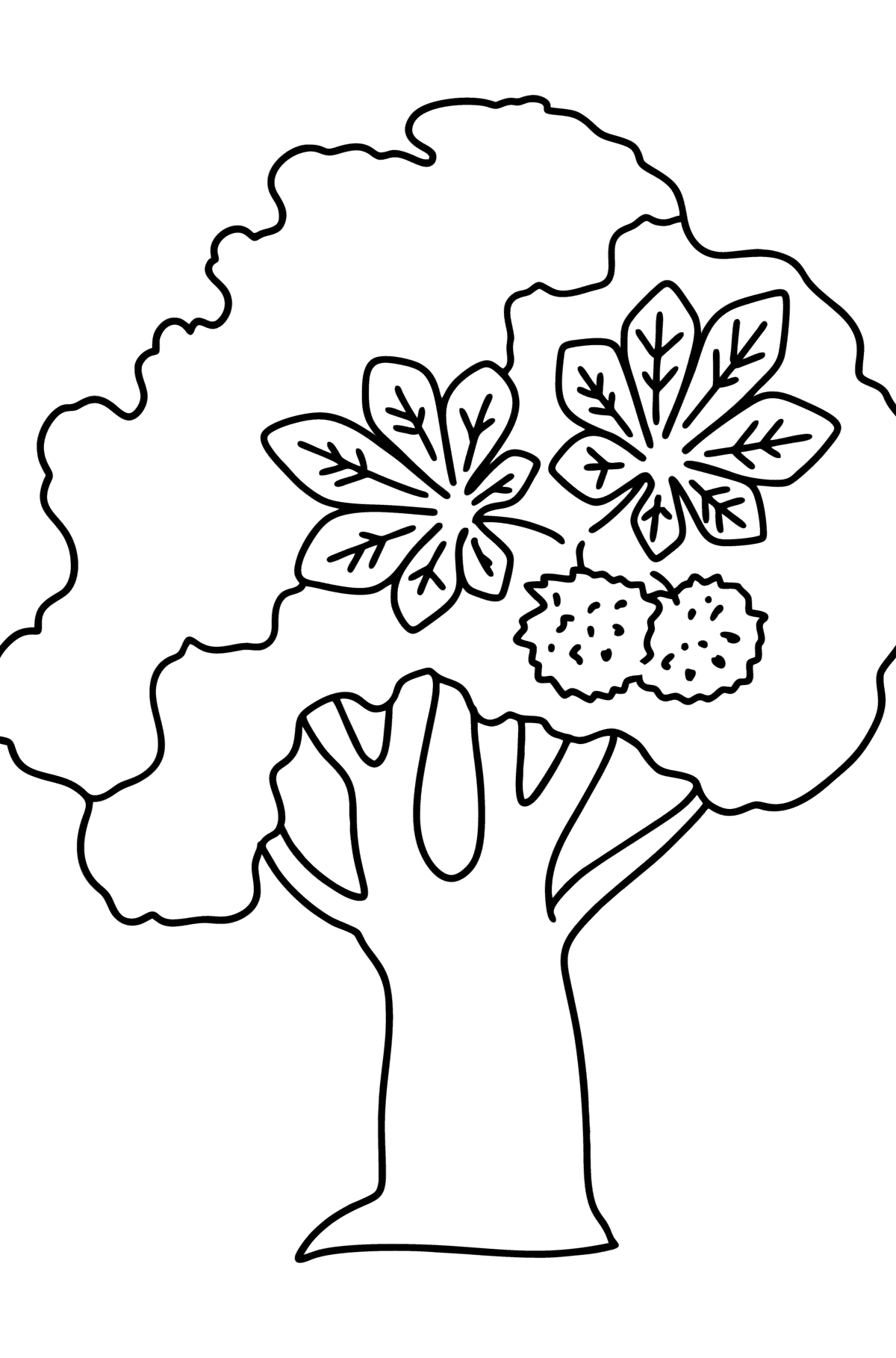 Dibujo Castaña para colorear para Niños - Colorea en Línea Dibujo Castaña para colorear para Niños - Colorea en Línea