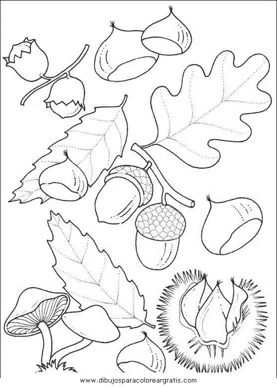Dibujo castanas_1 en la categoria naturaleza diseños Dibujo castanas_1 en la categoria naturaleza diseños