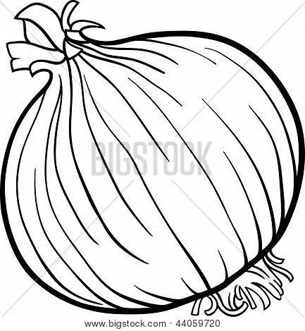 Cebollas para dibujar - Imagui