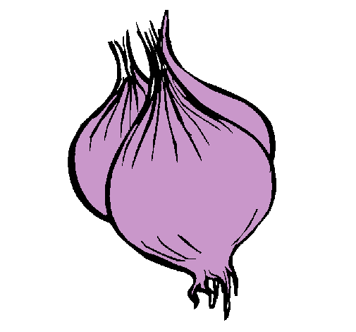 Dibujo de cebolla pintado por Gatafuz en Dibujos.net el día 06-08 ...
