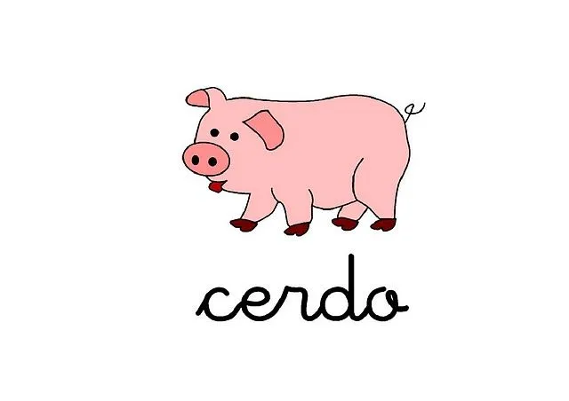 cerdo.jpg