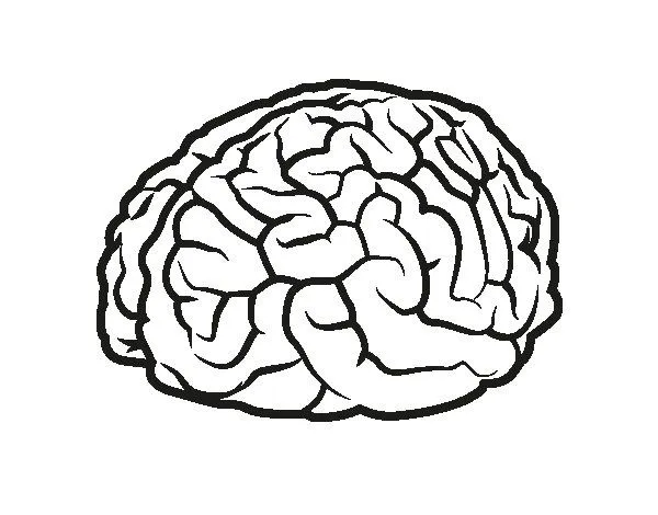 Dibujo de Cerebro para Colorear - Dibujos.net