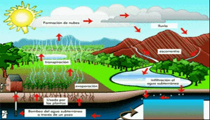 Ilustracion del ciclo del agua - Imagui