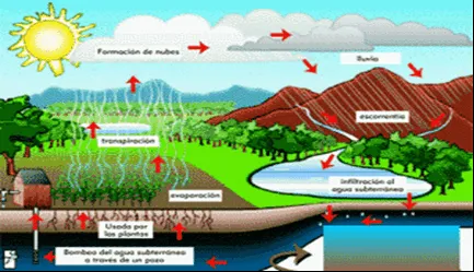 Dibujo del ciclo del agua con nombres - Imagui