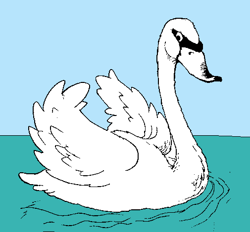 Dibujo de Cisne en el agua pintado por Sisne en Dibujos.net el día ... Dibujo de Cisne en el agua pintado por Sisne en Dibujos.net el día ...