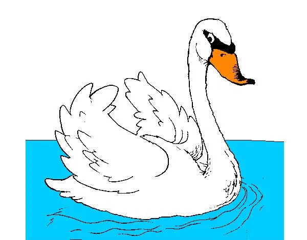 Dibujo de Cisne en el agua pintado por Zara2358 en Dibujos.net el ...
