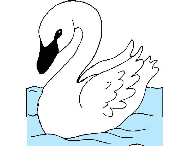 Dibujo de Cisne pintado por Encarnarue en Dibujos.net el día 09-09 ... Dibujo de Cisne pintado por Encarnarue en Dibujos.net el día 09-09 ...