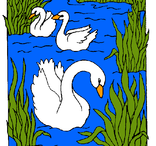 Dibujo de Cisnes pintado por Cines en Dibujos.net el día 09-02-12 ...