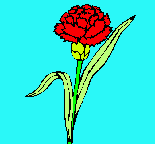 Dibujo de Clavel pintado por Florrosa en Dibujos.net el día 03-01 ... Dibujo de Clavel pintado por Florrosa en Dibujos.net el día 03-01 ...