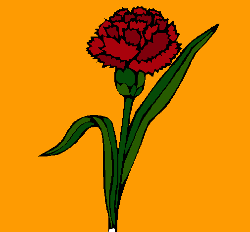 Dibujo de Clavel pintado por Luchiboom en Dibujos.net el día 17-04 ...