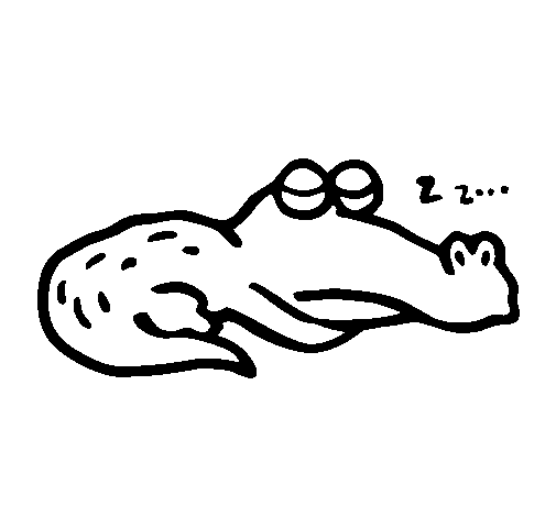 Dibujo de Cocodrilo durmiendo para Colorear - Dibujos.net Dibujo de Cocodrilo durmiendo para Colorear - Dibujos.net