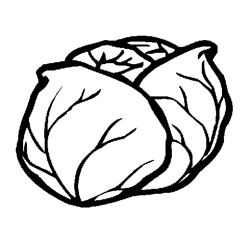 Dibujo de Col para Colorear - Dibujos.net
