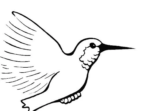 DIBUJO DE COLIBRI
