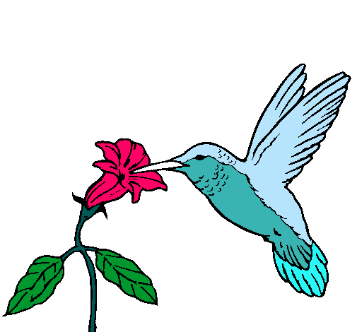 Dibujo de Colibrí y una flor pintado por Cilibri en Dibujos.net el ...