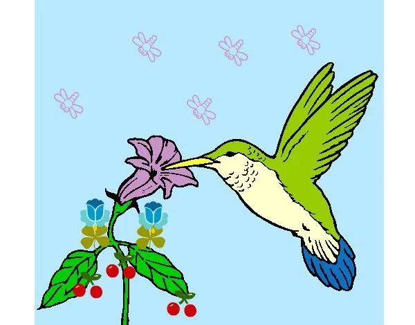 Dibujo de el colibri y su hermosa flor pintado por Vane366 en ... Dibujo de el colibri y su hermosa flor pintado por Vane366 en ...