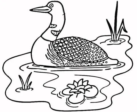 Dibujo de Colimbo en el Lago para colorear | Dibujos para colorear ... Dibujo de Colimbo en el Lago para colorear | Dibujos para colorear ...