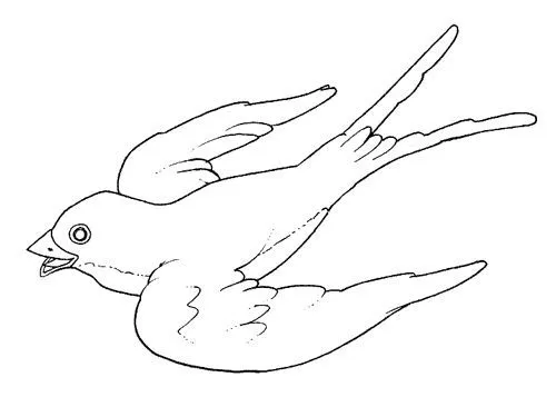 Dibujo para colorear de anfibios - Imagui