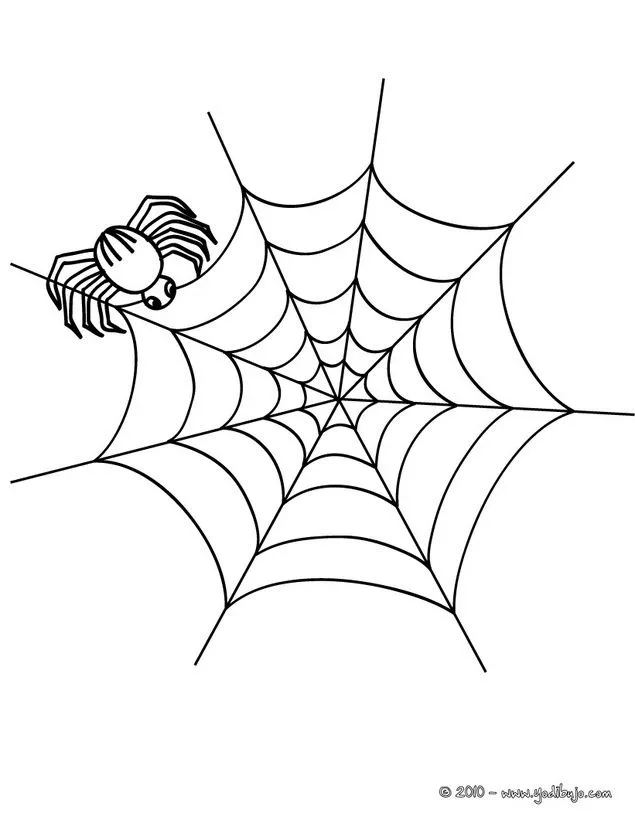 Dibujo para colorear araña fabricando su telaraña para halloween | Telarañas dibujo, Telaraña, Halloween para colorear Dibujo para colorear araña fabricando su telaraña para halloween | Telarañas dibujo, Telaraña, Halloween para colorear
