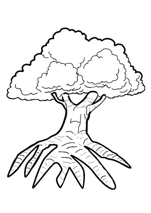 Dibujo para colorear árbol - Dibujos Para Imprimir Gratis - Img 29340 Dibujo para colorear árbol - Dibujos Para Imprimir Gratis - Img 29340