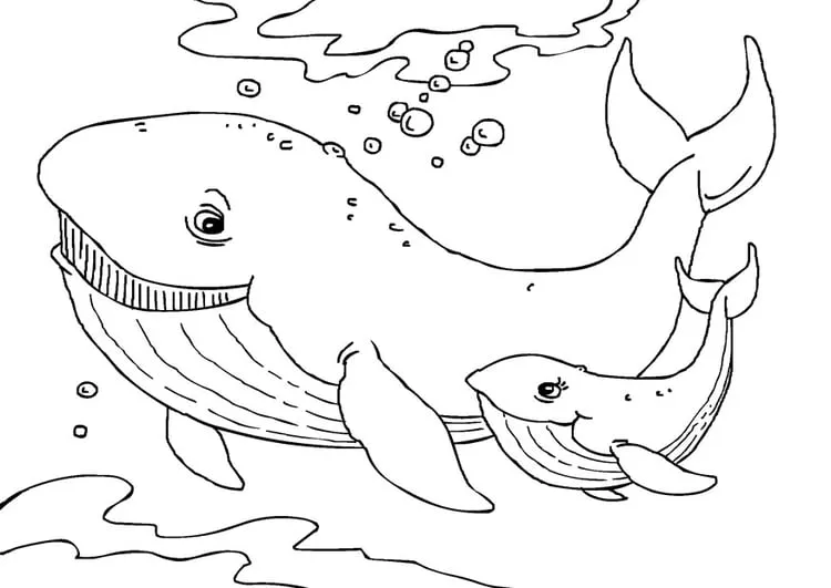 Dibujo para colorear ballenas - Dibujos Para Imprimir Gratis - Img 27231 Dibujo para colorear ballenas - Dibujos Para Imprimir Gratis - Img 27231