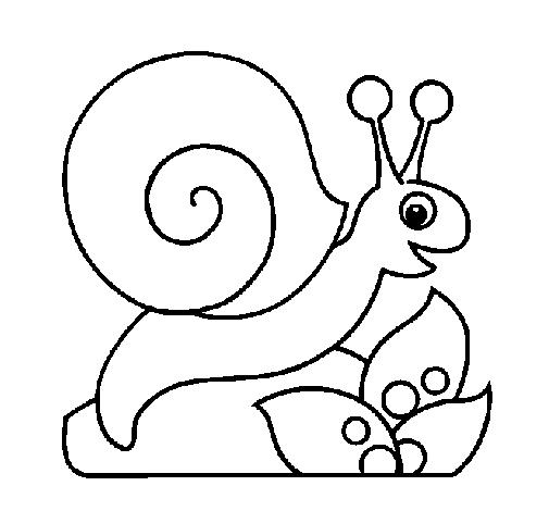Dibujo para colorear de un caracol | Dibujos de Uncategorized