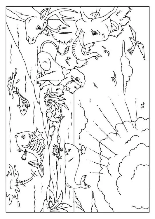 Dibujo para colorear Creación - Dibujos Para Imprimir Gratis - Img 25954 Dibujo para colorear Creación - Dibujos Para Imprimir Gratis - Img 25954