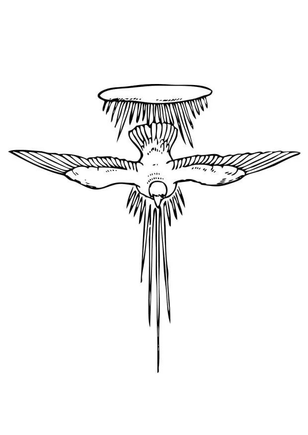 Dibujo para colorear espíritu santo - Dibujos Para Imprimir Gratis - Img 17377 Dibujo para colorear espíritu santo - Dibujos Para Imprimir Gratis - Img 17377