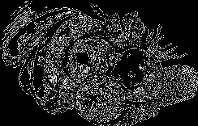 Imagenes de un bodegon para dibujar de fruta - Imagui Imagenes de un bodegon para dibujar de fruta - Imagui