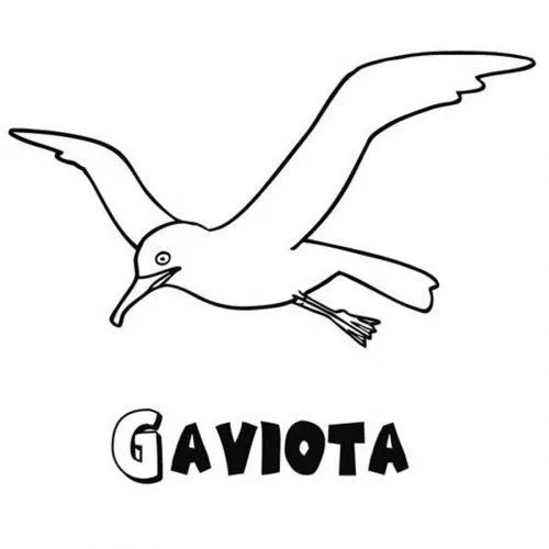 Dibujo para colorear de una gaviota - Dibujos para colorear de ...