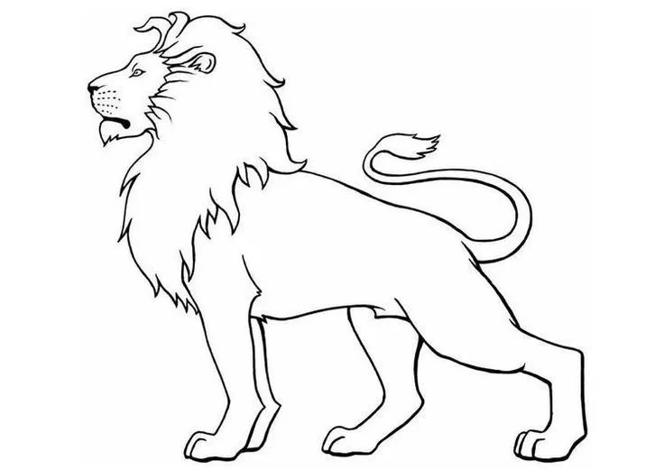 Dibujo para colorear: El León. | Leones para imprimir, colorear ...