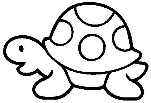 Dibujo para colorear del morrocoy - Imagui