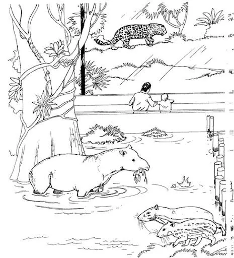 DIBUJO PARA COLOREAR NIÑOS EN EL ZOOLÓGICO - Imagui