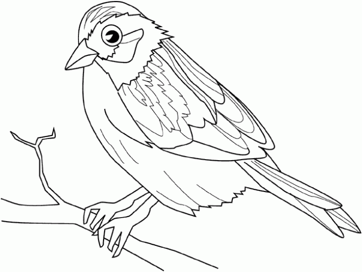 Dibujo para colorear Pajarillo 01