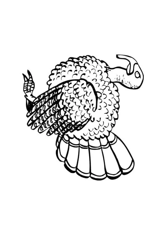 Dibujo para colorear Pavo - Img 10427