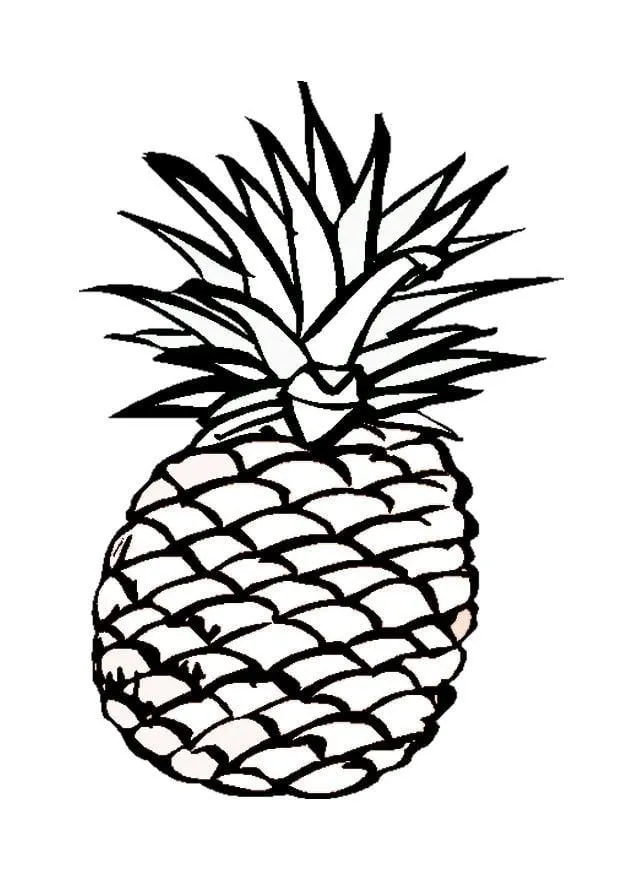 Frutas para colorear piña - Imagui