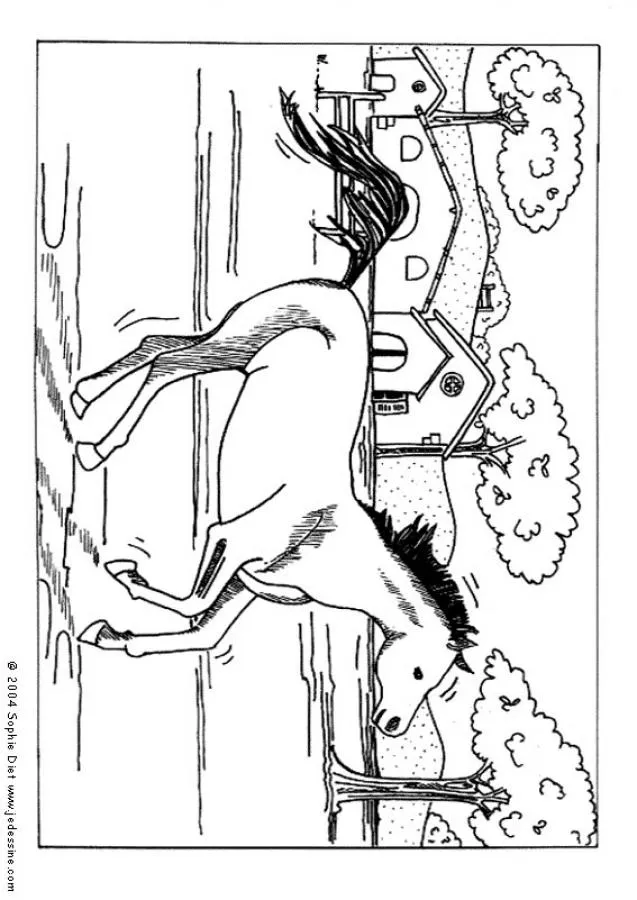 Dibujo Para Colorear Spirit El Caballo Mustang Dibujo Para Colorear Spirit El Caballo Mustang