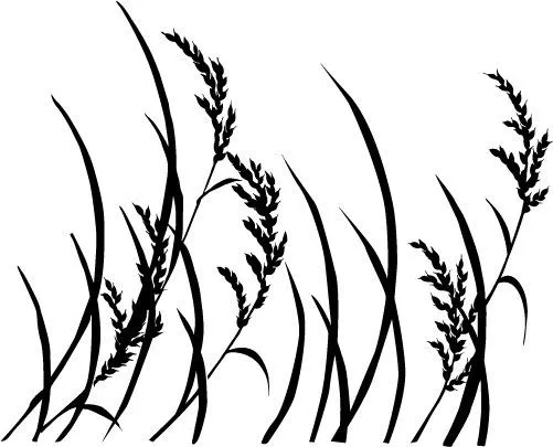 Dibujo trigo para colorear - Imagui