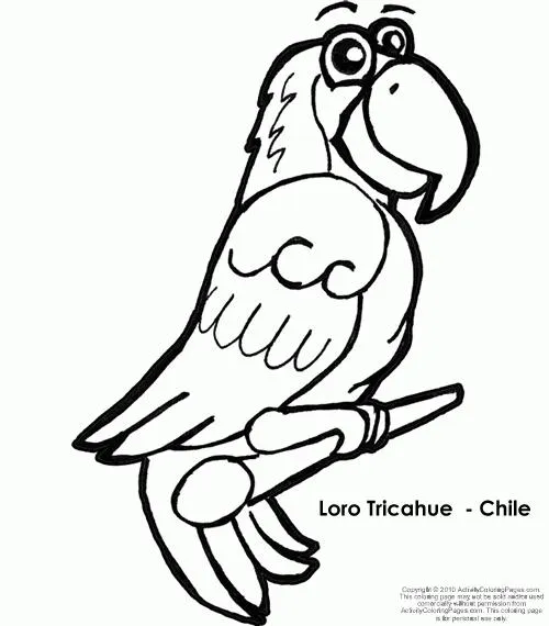 Imagenes del condor andino para dibujar - Imagui
