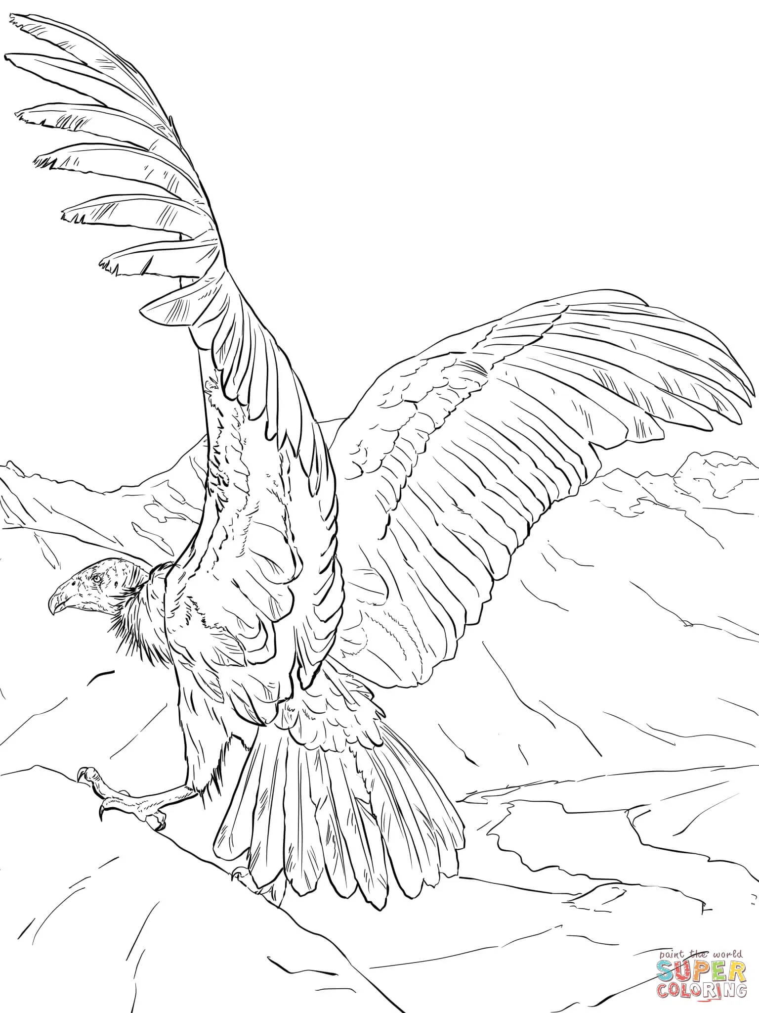 Dibujo de Cóndor andino para colorear | Dibujos para colorear imprimir gratis Dibujo de Cóndor andino para colorear | Dibujos para colorear imprimir gratis